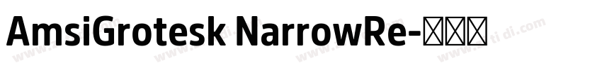 AmsiGrotesk NarrowRe字体转换 AmsiGrotesk NarrowRe字体转换
